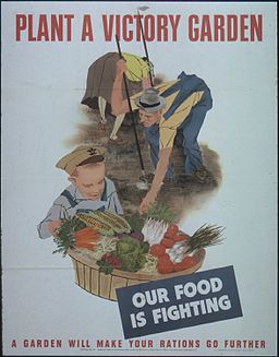 PLANT A VICTORY GARDEN. OUR FOOD IS FIGHTING - NARA - 513818