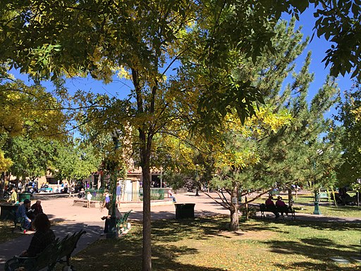 Trees provide shade at the plaza