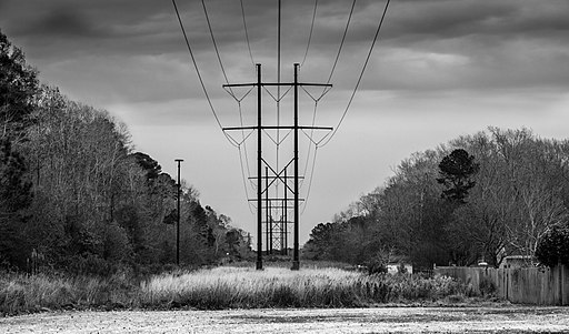 Power lines during Blue Hour BW