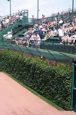 Wrigley Field-Right Field Ivy and Bleachers