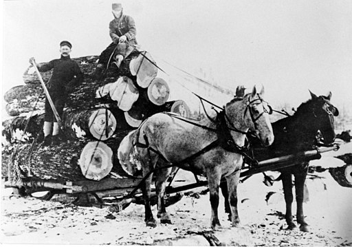 Logging in the Ochocos circa 1900