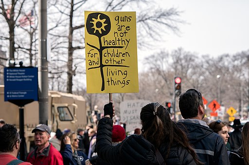 Guns are not healthy for children and other living things, March For Our Lives, Washington DC