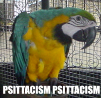 Psittacism